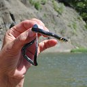 �� �� ������� ������ 2014�