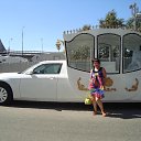 ���� ������, ���������, 63 ���� - ��������� 20 ���� 2014 � ������ ���� ����������