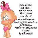 ���� �����, ������, 49 ��� - ��������� 6 ��� 2014 � ������ ������ ��������