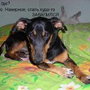 ���� ����, ������ - ��������� 10 ������ 2014 � ������ ���� ����������