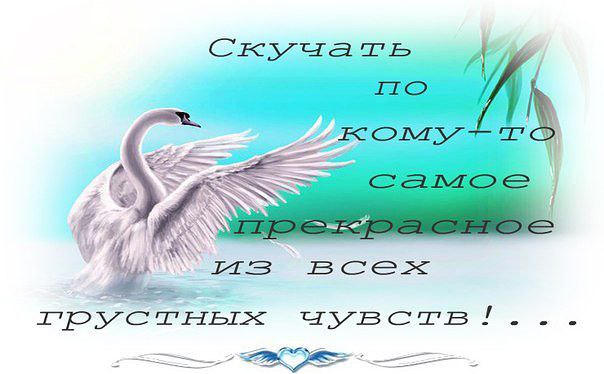  - 9  2014  08:51