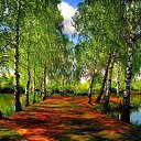 ���� Hellena, ������������ - ��������� 9 ������� 2014 � ������ ����λ