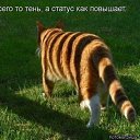 ���� ������., ������ - ��������� 27 ���� 2014 � ������ ������ ��������