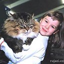 ���� ����, ���������, 46 ��� - ��������� 28 ���� 2014 � ������ ������ ��������