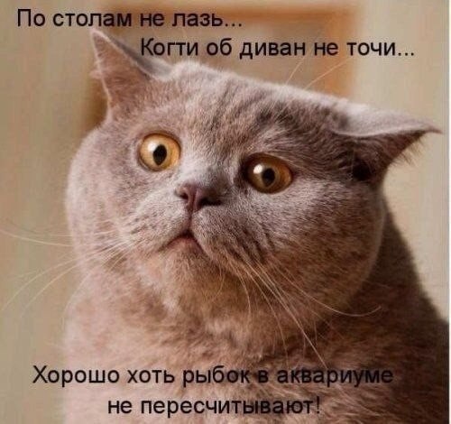 (  ,   - 5  2014  15:27