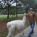 ���� �������, ��������� - ��������� 15 ������� 2014 � ������ ���� ����������