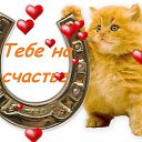 ���� ��, ������� - ��������� 31 ����� 2014 � ������ ������ ��������