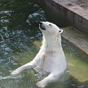 ���� �������, ���������� - ��������� 31 ���� 2014 � ������ �������������� ������� 23.07.2014�