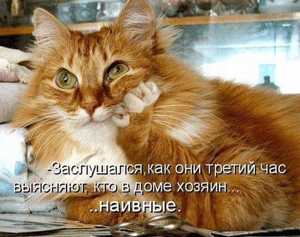 /zev/null - 17  2014  21:19