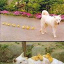 ���� ������, ���� - ��������� 22 ��� 2014 � ������ ������ ��������