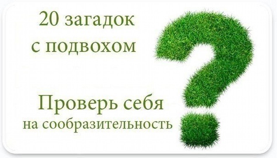 Картинки с подвохом. Загадки с подвохом. 15 Загадок с подвохом. Загадки с подковыркой. Рисунки с подвохом.