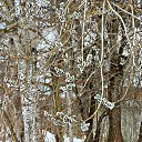 ���� ������� �., ����� - ��������� 5 ������ 2014 � ������ ������