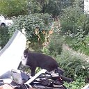 ���� �����, ������, 44 ���� - ��������� 14 ���� 2014 � ������ �2014�