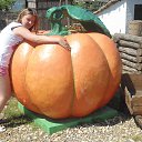 ���� �����, �����, 24 ���� - ��������� 31 ���� 2014 � ������ ���� ����������