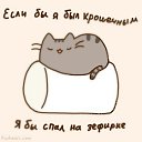 ���� ����, ������ - ��������� 22 ���� 2014 � ������ ������ ��������