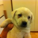 ���� �������, �������, 46 ��� - ��������� 4 ������ 2014 � ������ ������ ��������