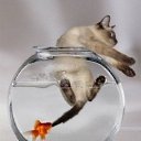 ���� ������, �����-���������, 66 ��� - ��������� 28 ���� 2014 � ������ ������ ��������