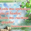 ���� �������, �����-���������, 68 ��� - ��������� 27 ������ 2014 � ������ ������ ��������