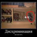 ���� �������, �������, 44 ���� - ��������� 8 ��� 2014 � ������ ������ ��������