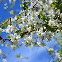 ���� �������, ����������� - ��������� 25 ������ 2014 � ������ ���� ����������