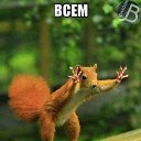 ���� �����, ��������, 39 ��� - ��������� 25 ��� 2014