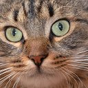 ���� ����������, ������� ��������, 63 ���� - ��������� 6 ���� 2014 � ������ ������ � �����