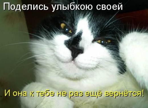   :3 - 5  2014  14:30