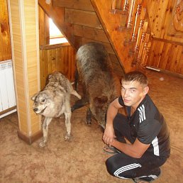 ���� ������, ������, 39 ��� - ��������� 5 ������ 2014