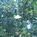 ���� Larisa, ���������, 63 ���� - ��������� 8 ���� 2014 � ������ ���� ����������