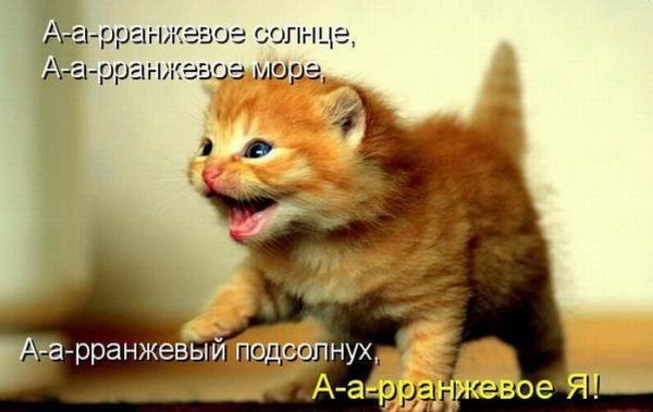    - 19  2014  14:10