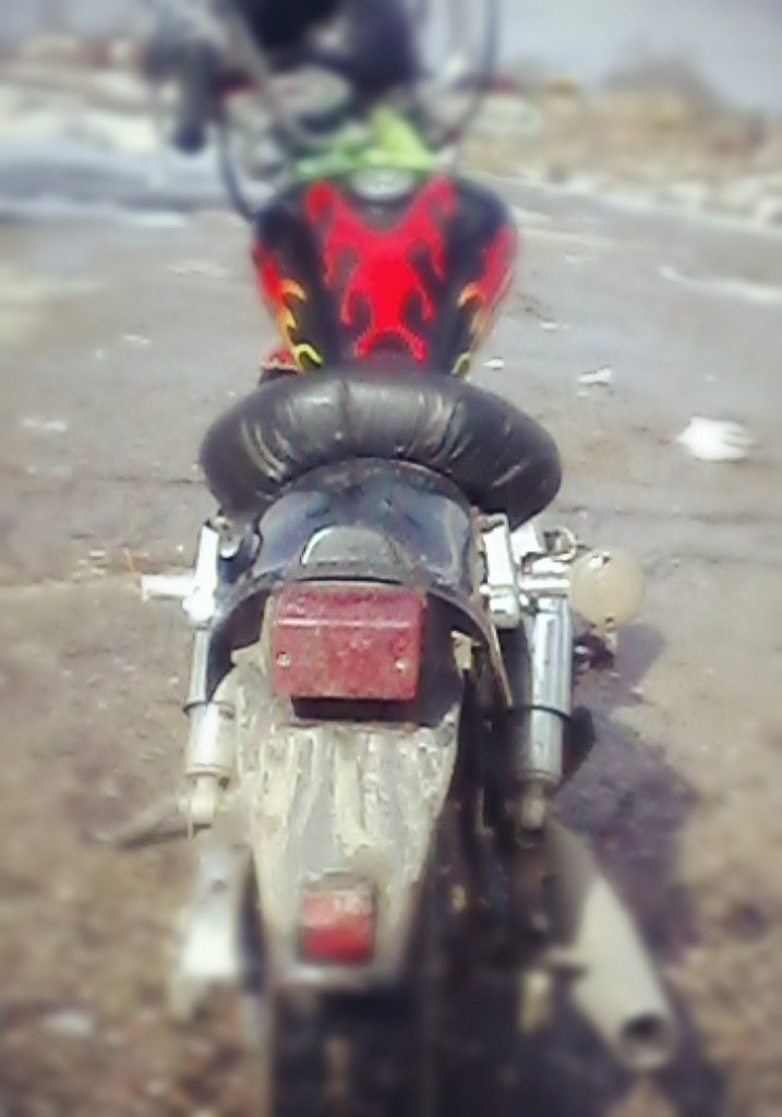 Roman - 6  2014  13:06