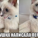 ���� ����, �������, 40 ��� - ��������� 4 ��� 2014 � ������ ������ ��������