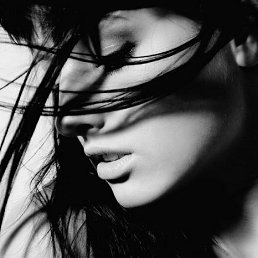 ���� ��������, ���������, 42 ���� - ��������� 29 ��� 2014