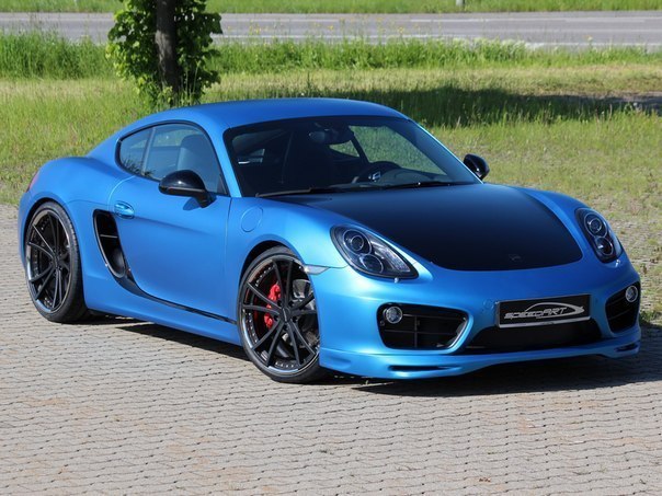 Porsche Cayman S SpeedART SP81-CR 360 (981C), 2013.  : 300 /   100 ... - 3