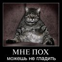 ���� ���� �������, ������ - ��������� 26 ������ 2014 � ������ ������ ��������