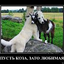 ���� �@t@li, ������ - ��������� 19 ����� 2014 � ������ ������ ��������