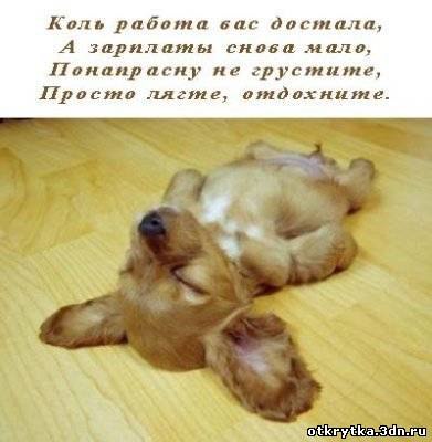  !!))))