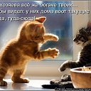 ���� ���������, ���������, 62 ���� - ��������� 20 ���� 2014 � ������ ������ ��������