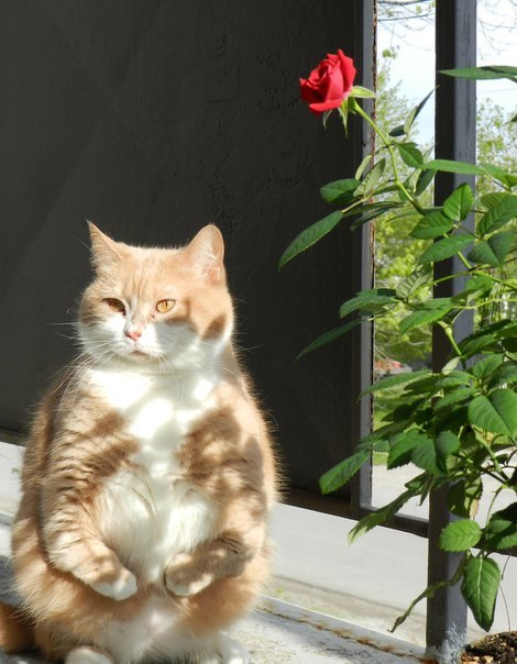  :3