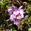 ���� ������, �����, 66 ��� - ��������� 2 ���� 2014 � ������ ���� ����������