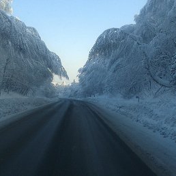 ���� ����, ��������, 43 ���� - ��������� 10 ������� 2014
