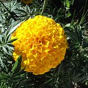 ���� ��������, �����������, 71 ��� - ��������� 12 ������� 2014 � ������ ������ ��������