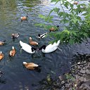 ���� ����, ������ - ��������� 8 ���� 2014 � ������ ���� ����������