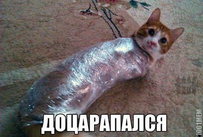 No Name Alex® - 5  2014  11:21