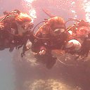 ���� ���������, ������, 43 ���� - ��������� 23 ��� 2014 � ������ ��������, ������� 2014�