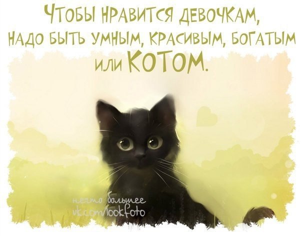   - 3  2014  13:01