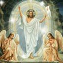 ���� ������, �����, 41 ��� - ��������� 19 ���� 2014 � ������ ���� ����������