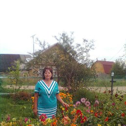 �����, ������, 65 ���