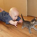 ���� �����, ���������, 36 ��� - ��������� 6 ��� 2014