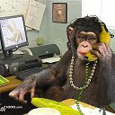 ���� ������, ���������, 52 ���� - ��������� 13 ���� 2014 � ������ ������ ��������